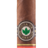 Сигара Joya de Nicaragua CLASICO Medio Siglo Toro