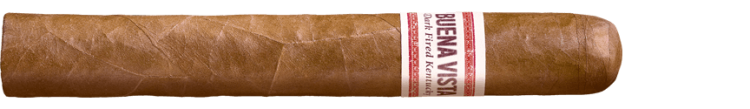 Сигара Buena Vista Dark Fired Kentucky Robusto (Сигара)