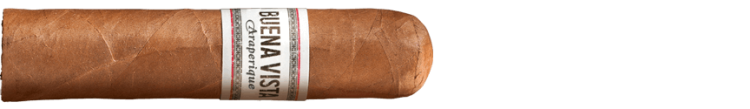 Сигара BUENA VISTA Araperique Short Robusto (5)