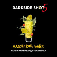 Табак для кальяна DarkSide SHOT A Ладожский вайб 30 г