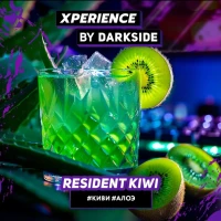 Табак для кальяна DARKSIDE Xperience RESIDENT KIWI 30 г