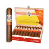 Сигара AVO Syncro Fogata Robusto