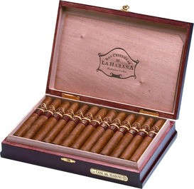Сигары S.CRISTOBAL DE LA HABANA OFICIOS