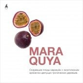 Табак для кальяна MattPear Mara Quya