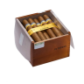 Сигара COHIBA Siglo VI
