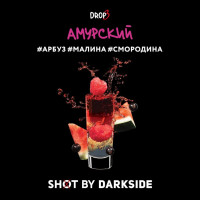 Табак для кальяна DarkSide SHOT Амурский панч 120 г