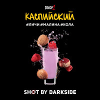 Табак для кальяна DarkSide SHOT Каспийский вайб 120 г