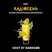 Табак для кальяна DarkSide SHOT Ладожский вайб 120 г