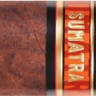 Сигара E.P. Carrillo Essences Sumatra Gordo