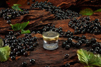 Табак для кальяна WTO CARIBBEAN Black Currant 20 гр