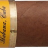 Сигара COHIBA Siglo I (15)