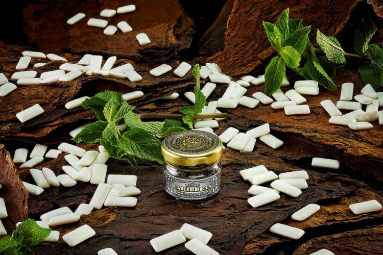 Табак для кальяна WTO CARIBBEAN Mint Gum 20 гр