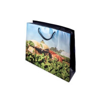 Пакет подарочный Vega de tabaco на 50 сигар