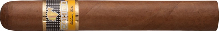 Сигара COHIBA Siglo VI (10)