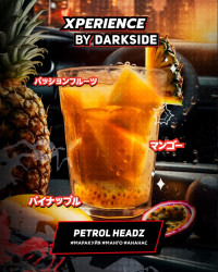 Табак для кальяна DARKSIDE Xperience Petrol Headz 30 г