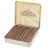 Сигариллы CLUBMASTER Mini Chocolate Brown (10 шт.)