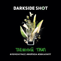 Табак для кальяна DarkSide SHOT Таёжный трип 30 г
