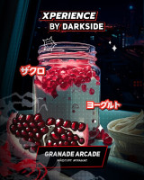 Табак для кальяна DARKSIDE Xperience Granade Arcade 30 г