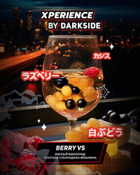 Табак для кальяна DARKSIDE Xperience Berry VS 30 г