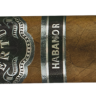 Сигара GRAN APERTURA Habano Robusto