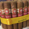 Сигара H.UPMANN Magnum 54 (25)