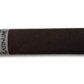Сигара ROCKY PATEL Platinum Robusto