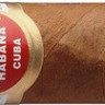 Сигара H.UPMANN Half Corona (25)