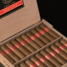 Сигара PARTAGAS Serie D № 6 (25/5)