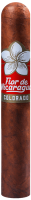 Сигара Joya de Nicaragua FLOR DE NICARAGUA Toro