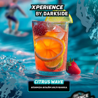 Табак для кальяна DARKSIDE Xperience Цитрус Вейф 30 гр