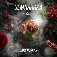 Табак для кальяна DAILY HOOKAH Земляника 60 г