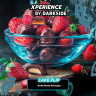 Табак для кальяна DARKSIDE Xperience Кейк Флип 30 гр
