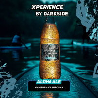Табак для кальяна DARKSIDE Xperience Алоха Эль 30 гр